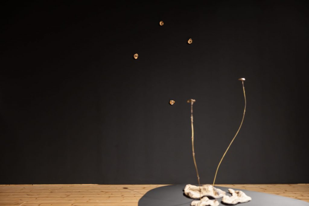 sculture of pronze and ceramic looking like a plant and behind star pattern made with pronze