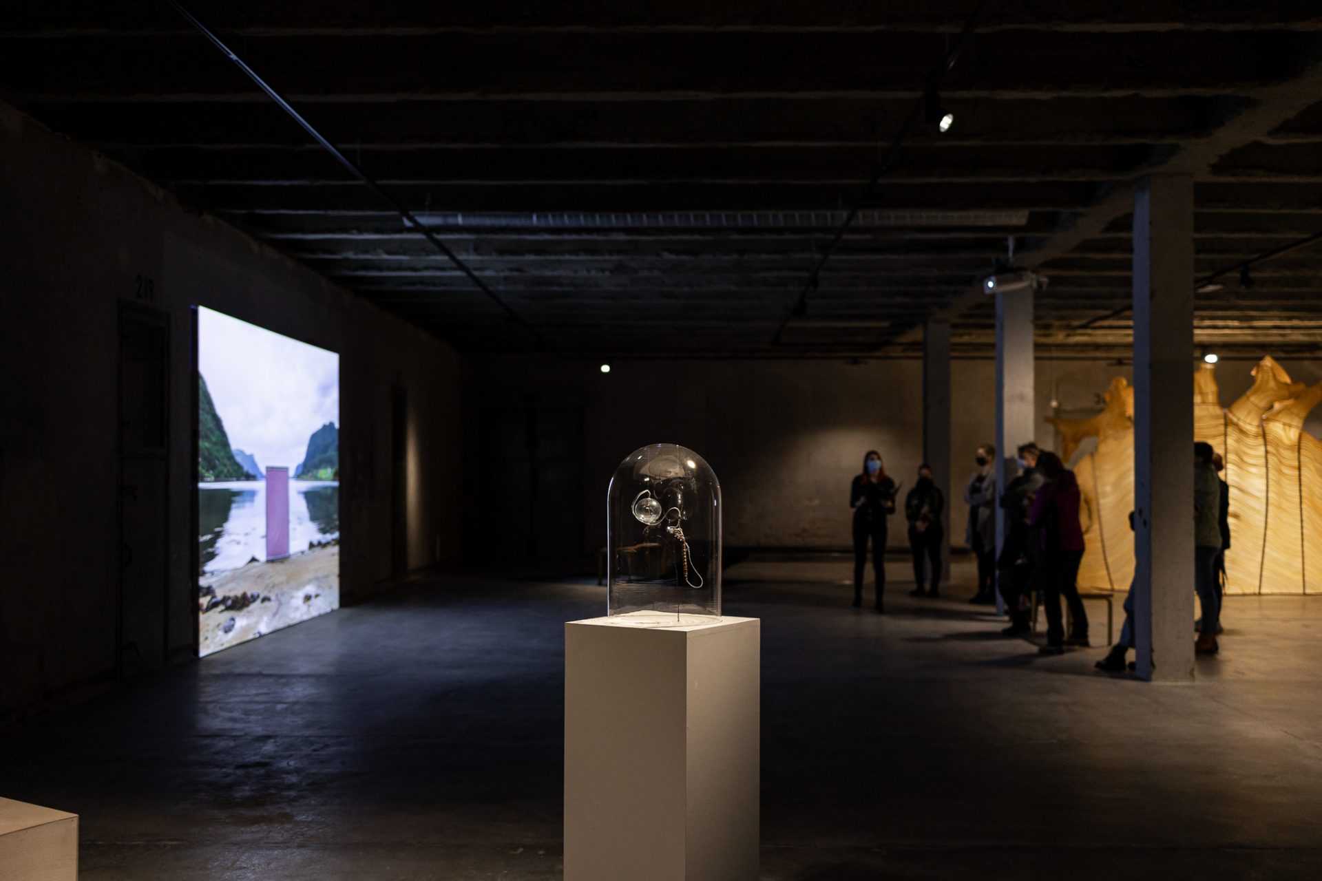exhibition view