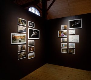 Exhibition wall corner that has many small photographs. Behind the wall peaks a round window. 